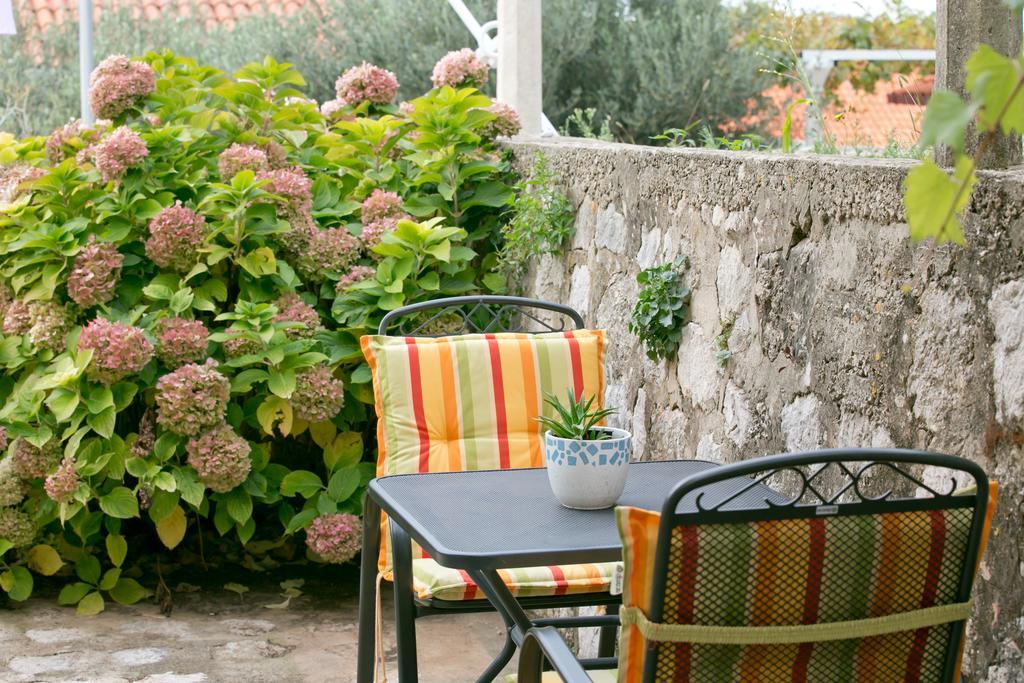 Appartement 1 Chambre avec Terrasse (4 Adultes)