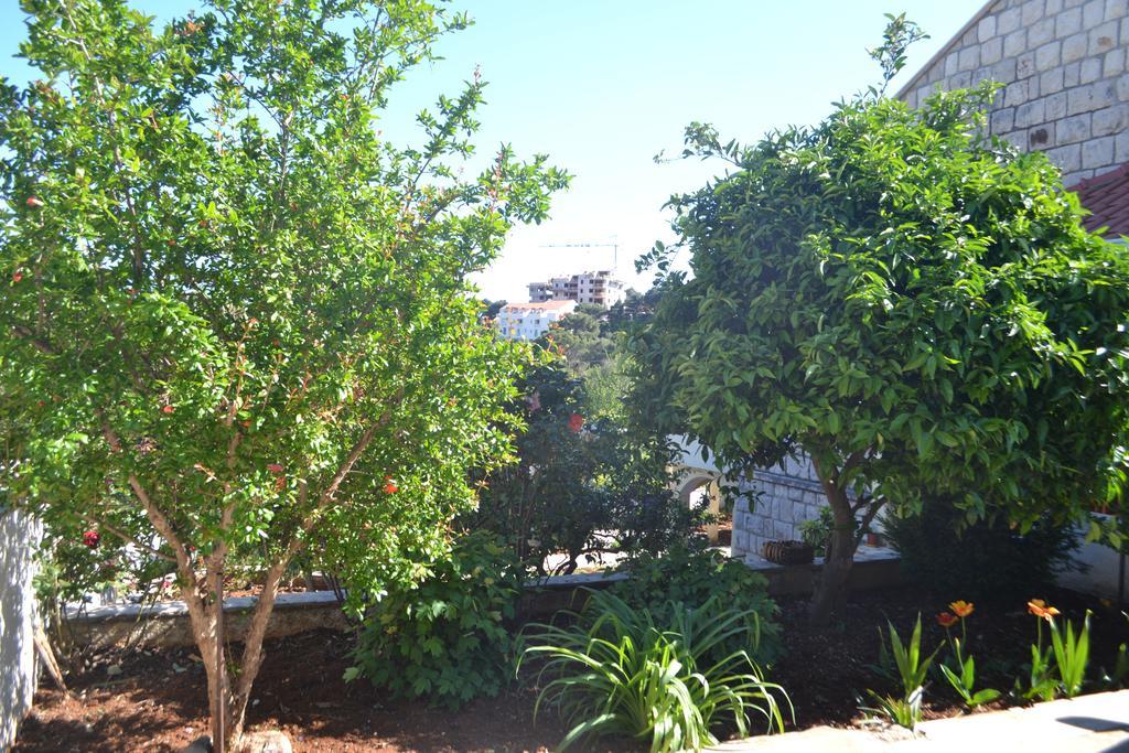 Studio with Garden View