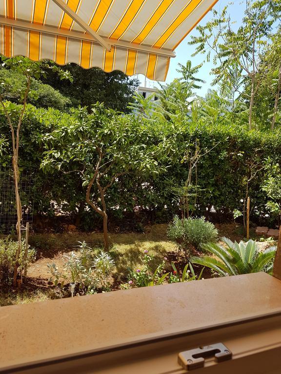 Studio Apartment with Terrace,1008730930:JPEG