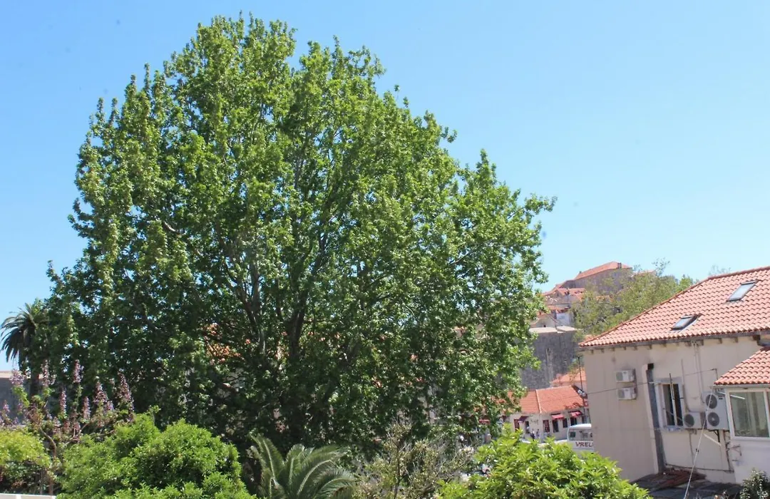Guest House Gugily-1