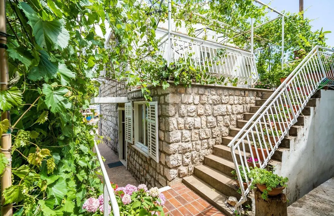 Apartments Zarac-1
