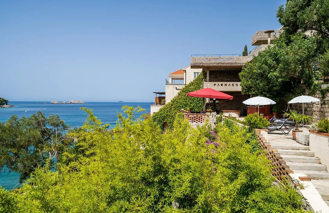 Boutique & Beach Hotel Villa Wolff-1