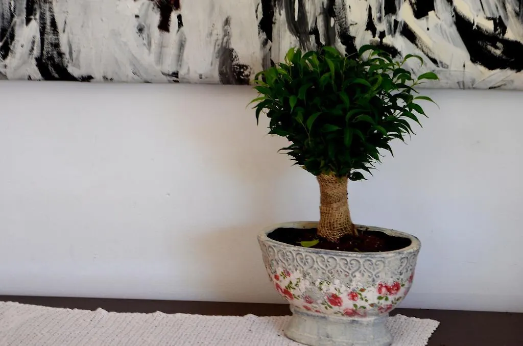 Apartments Prunus-1