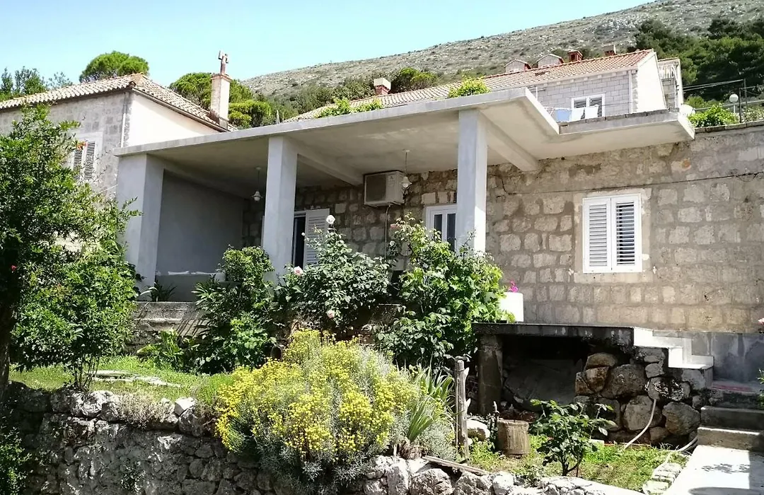 Apartman Nikola-1