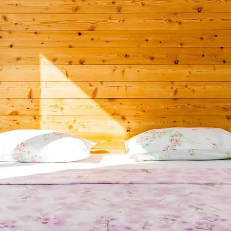 Guesthouse Mika-3