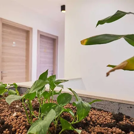 Boutique Garden Rooms-2