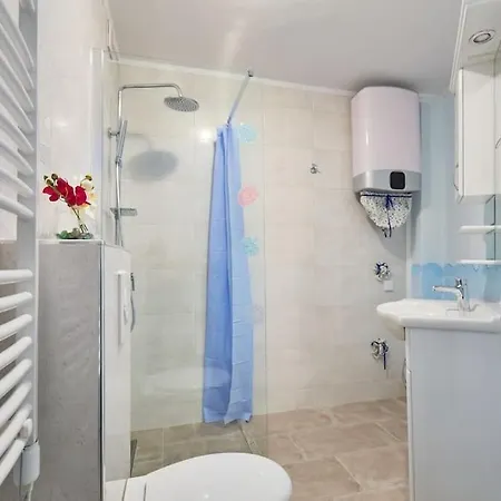 Studio Ibis-3