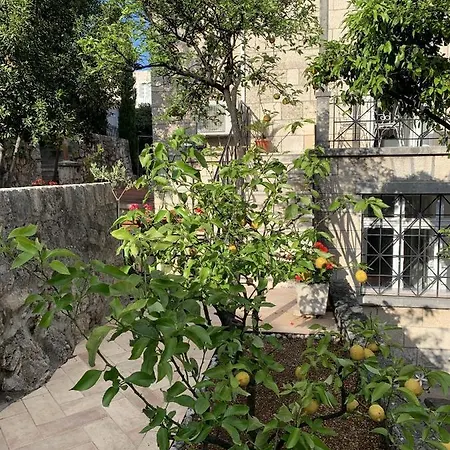 Villa Arancia-2