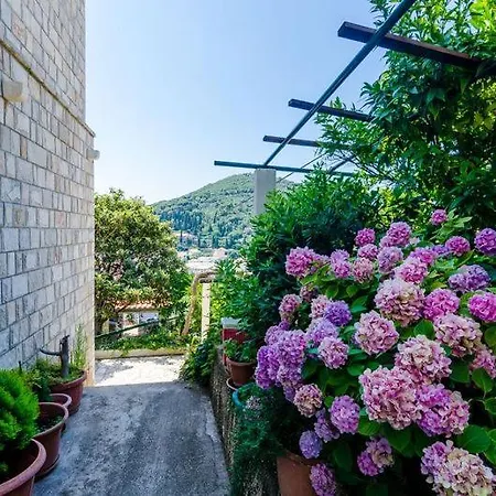 Apartment Pavo-3