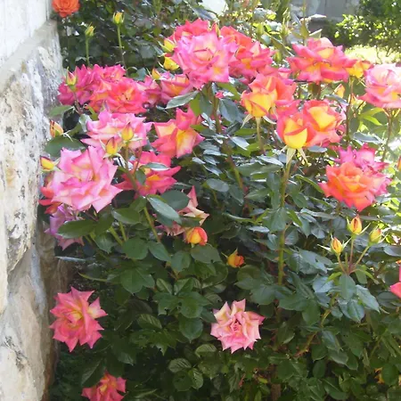 Apartment Flora-2