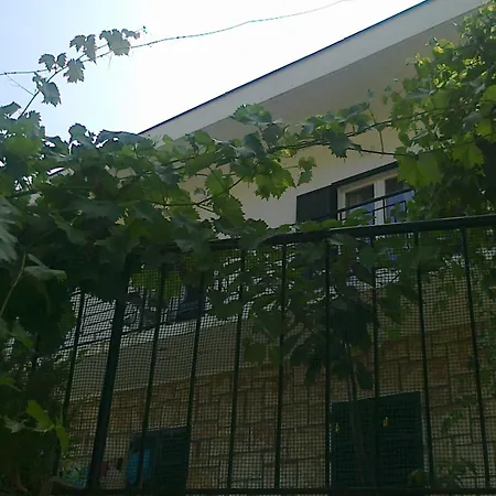 Rooms Sentic-3