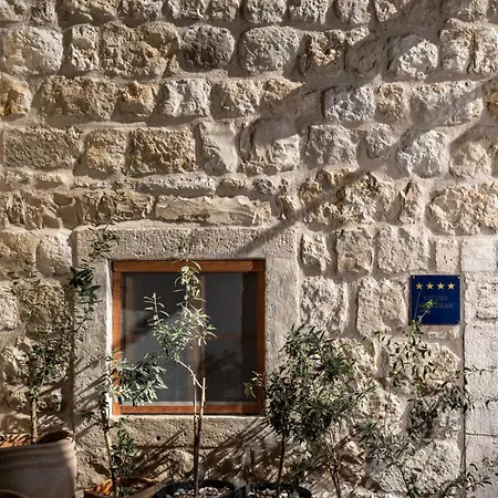 Old Town Olive Studio Apartment-3