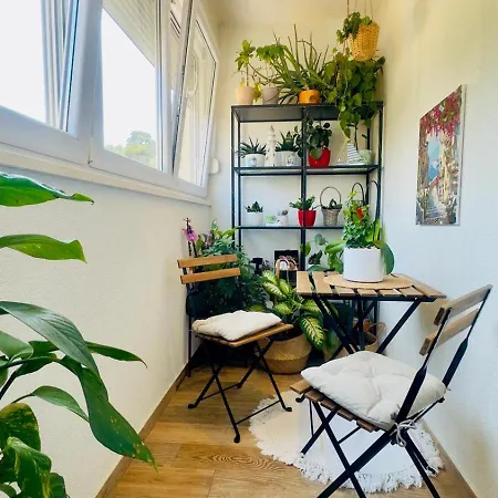 Apartman Noa-3