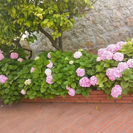 Villa Katarina-3