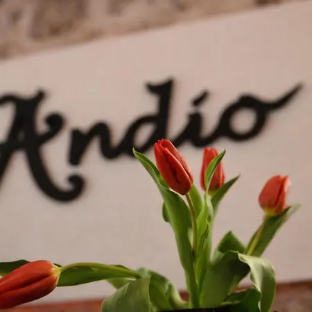 Bed&Breakfast Andio-2