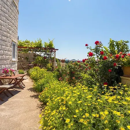 Sunshine Apartments-2