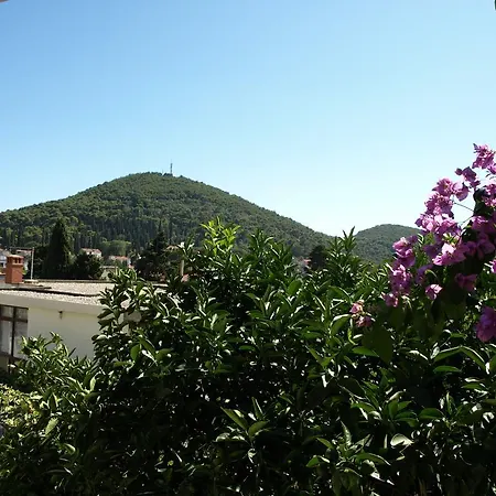 Rooms Carpe Diem-2