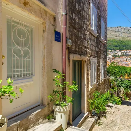 Old Town House With Floor Heating & Lush Private Garden-3