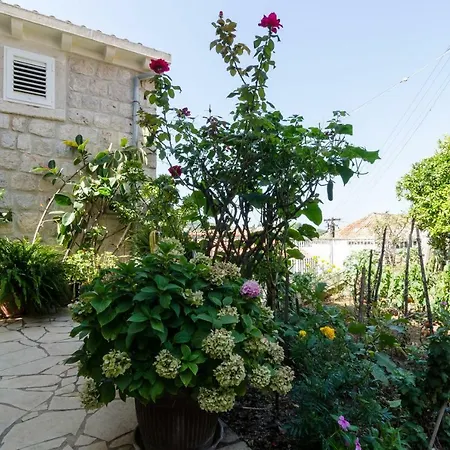 Apartments Bozica-3