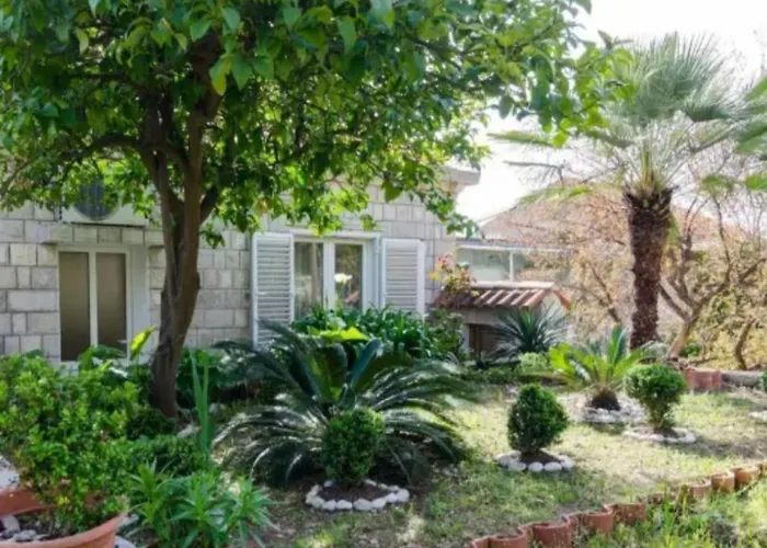 Apartments Nicol