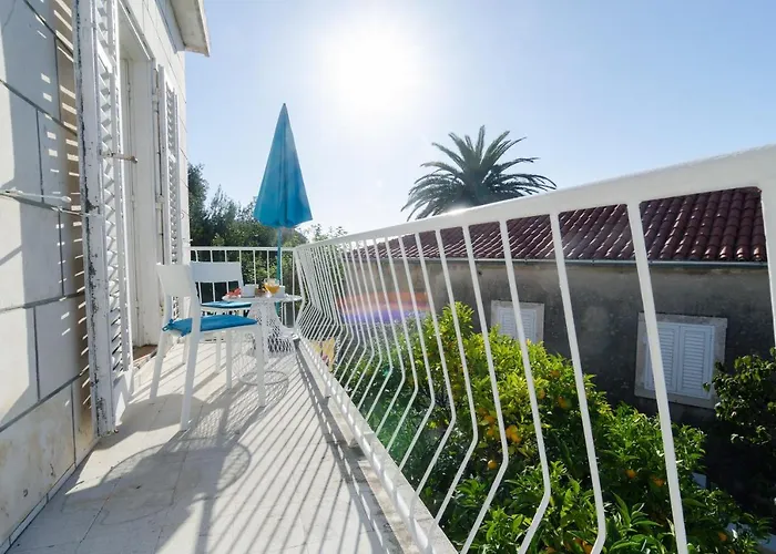 Apartment & Room Cvita