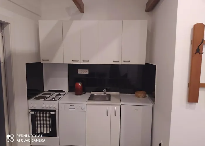 Appartamento Splitski Put 19-Apartman Vlaho Ragusa che accetta animali