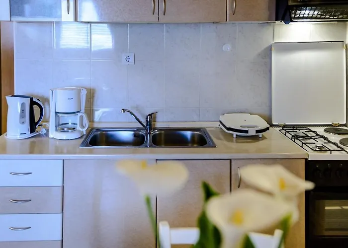 Huisdiervriedelijke Apartment Matic Dubrovnik