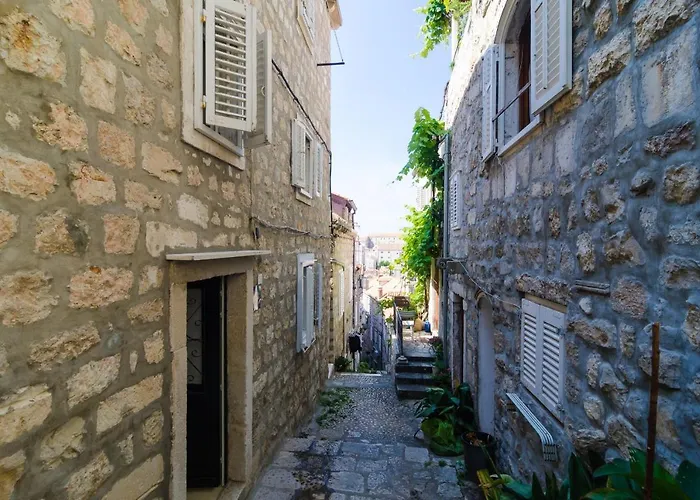 Pet friendly Apartment Domix Dubrovnik