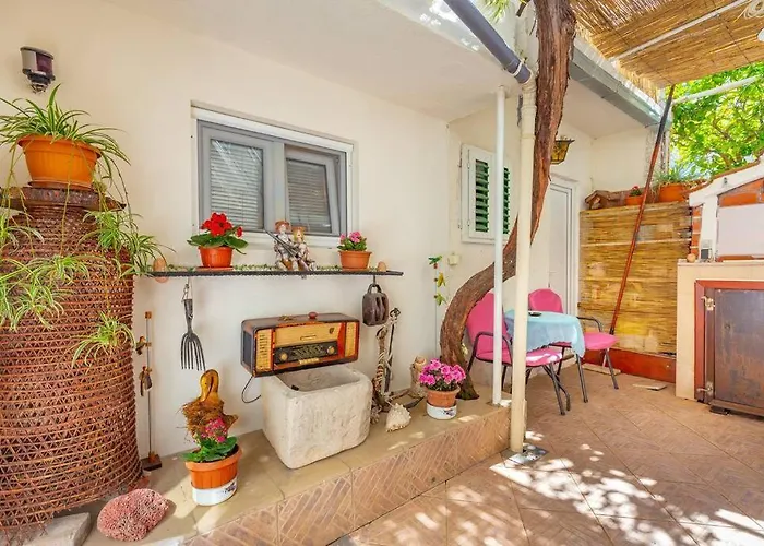 Studio Ibis Dubrovnik admite animales