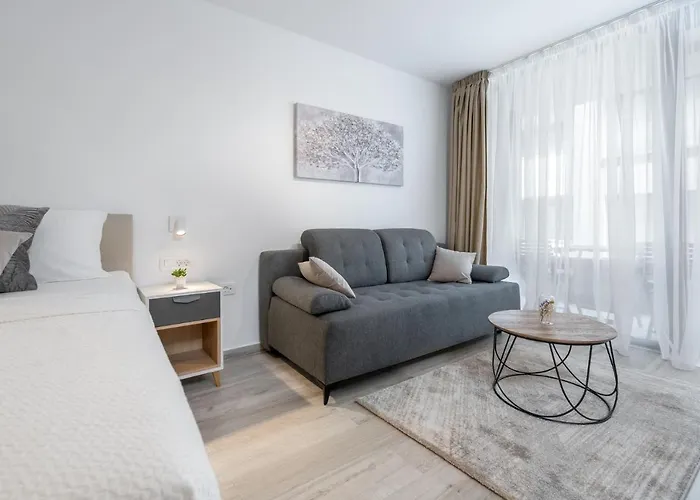 Luni Apartment In Dubrovnik Center admite animales