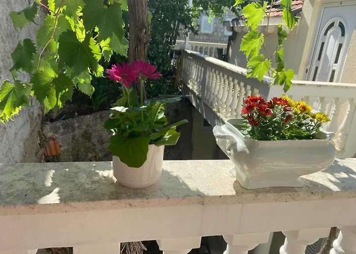 Apartment Slavica Dubrovnik acceptant les animaux