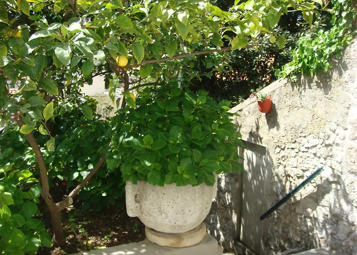 Guesthouse Manda