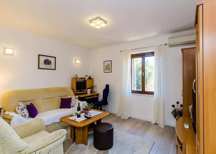 Pet friendly Apartment Veronika Dubrovnik
