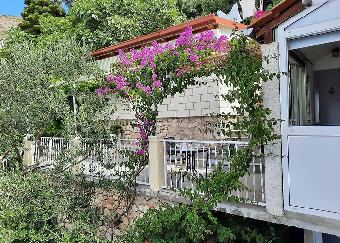 Pet friendly Apartments Kirigin Dubrovnik
