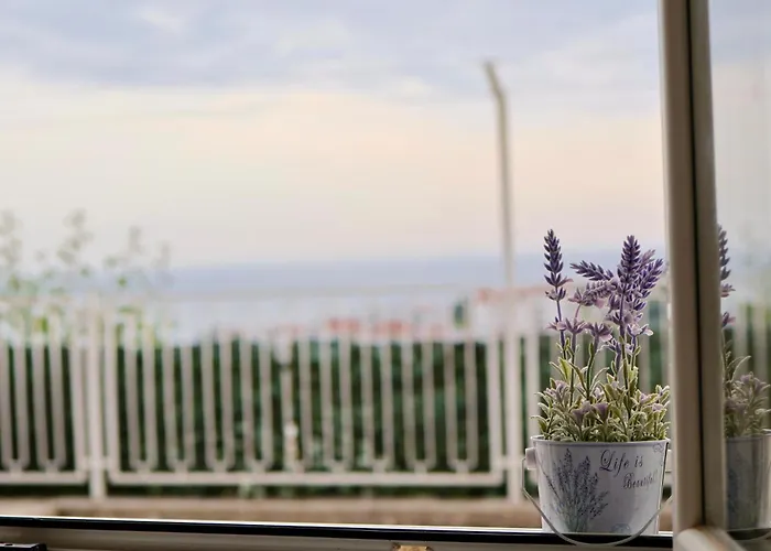 Pet friendly Studio Apartment S&N Dubrovnik