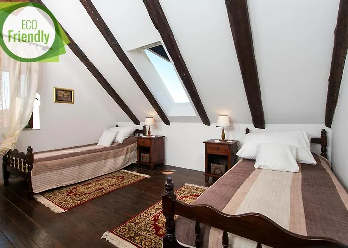 Pet friendly Gina Apartment Dubrovnik